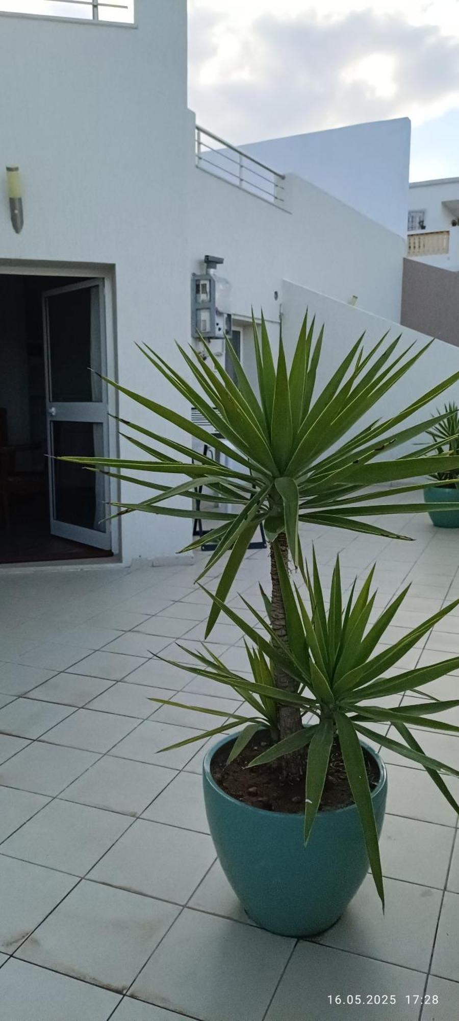 Residence Debbabi Sans Coupure D'Eau Monastir Quarto foto